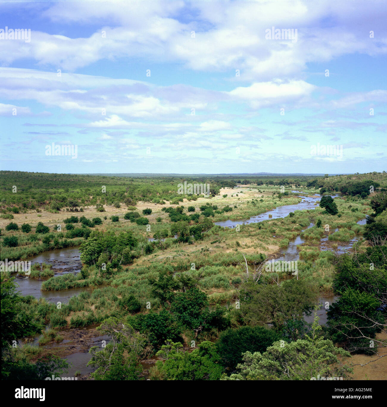 Geography Travel South Africa Transvaal Krueger National Park 