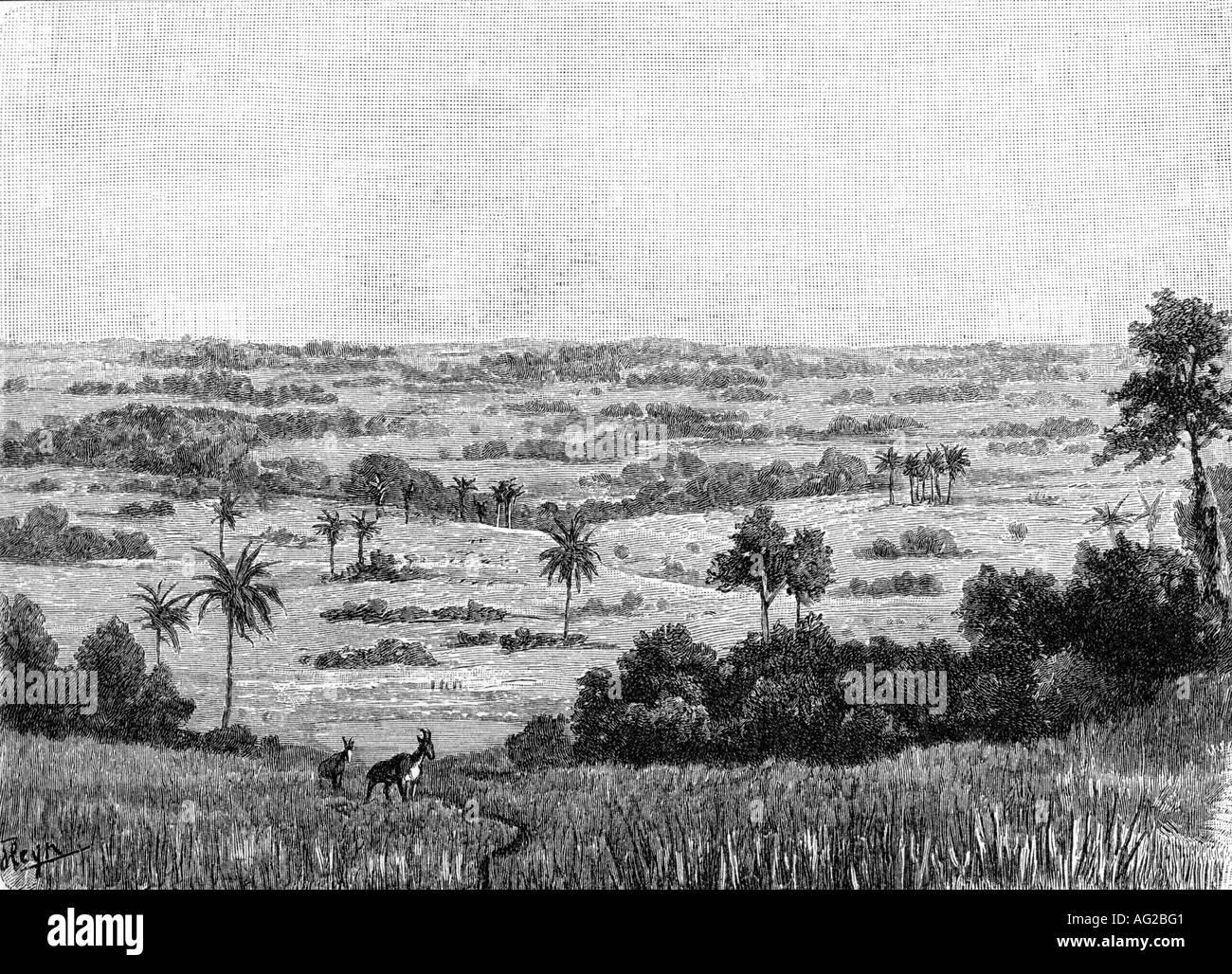 geography/travel, Central Africa, landscape, savanna, engraving after