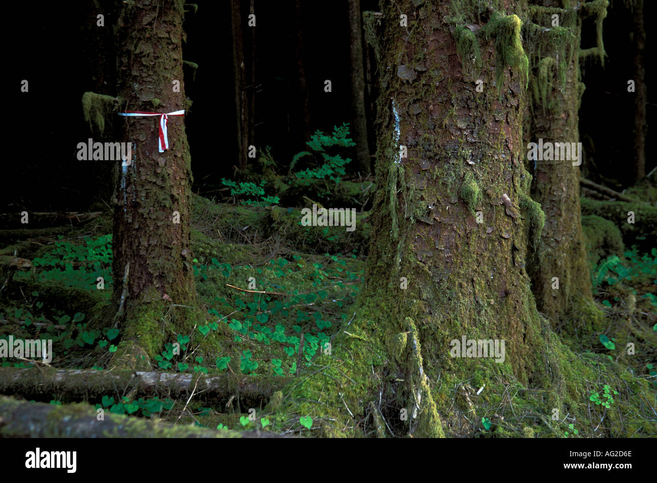 logging — Logging facility for Python¶ visual data 8