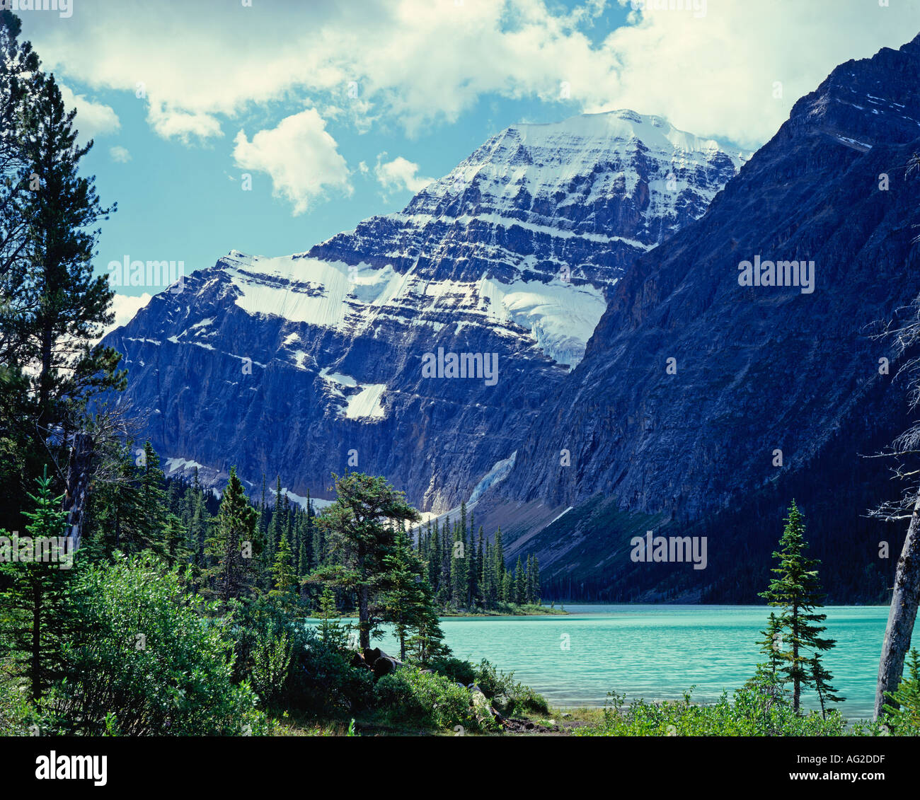 Mt Edith Cavell Jasper National Park Canada Stock Photo - Alamy