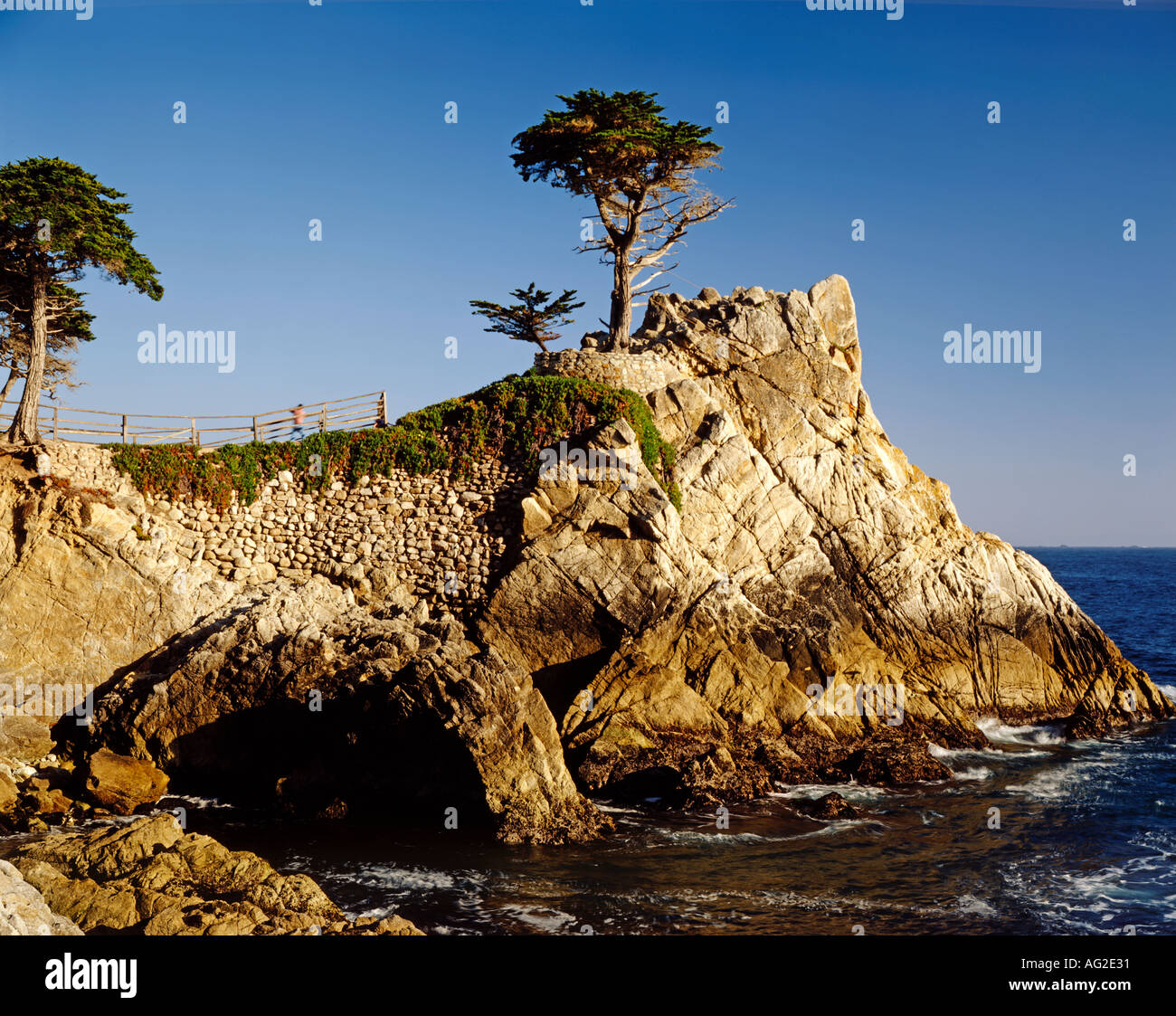 Lone Cypress Lookout on 17 mile drive of Monterey Peninsula California USA Stock Photo