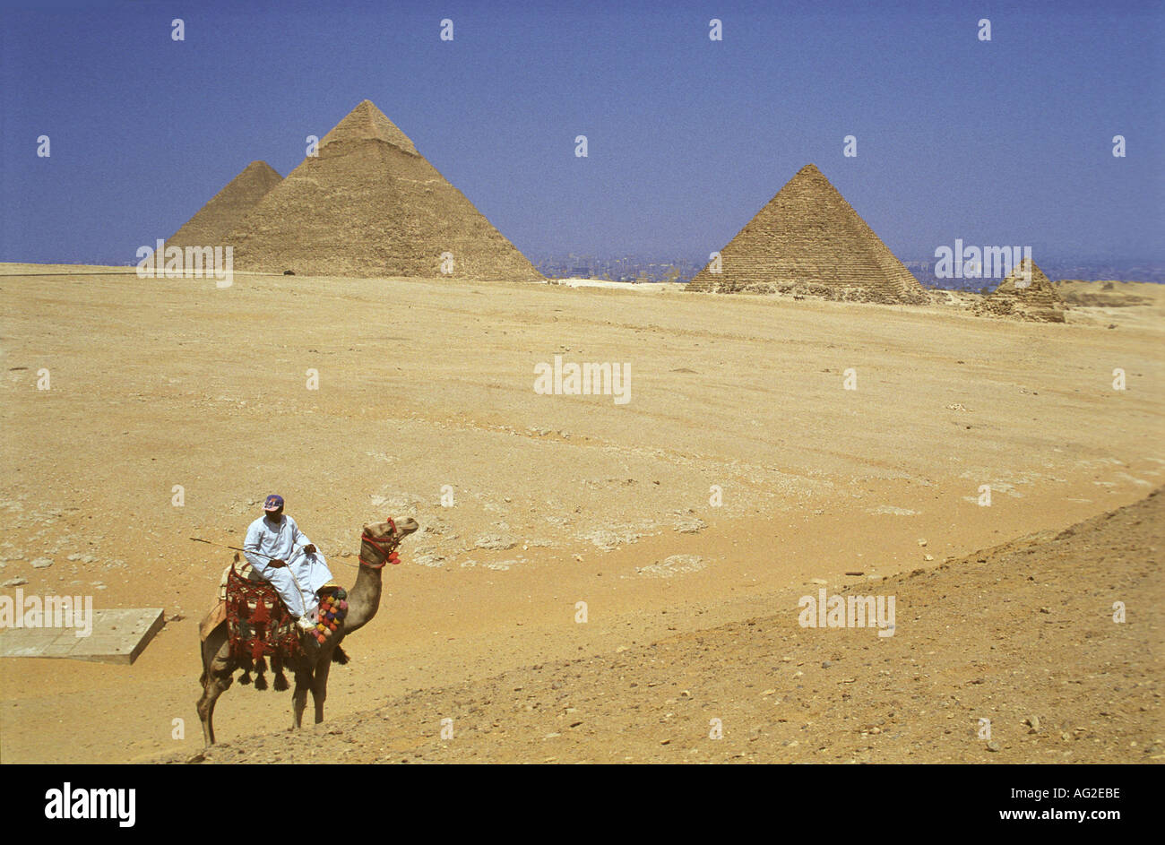 Camel rider and pyramids Stock Photo - Alamy