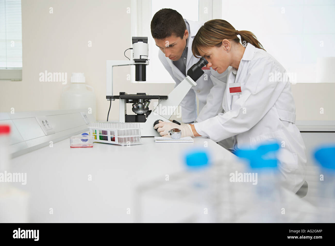 Two scientists using microscope in laboratory Stock Photo - Alamy