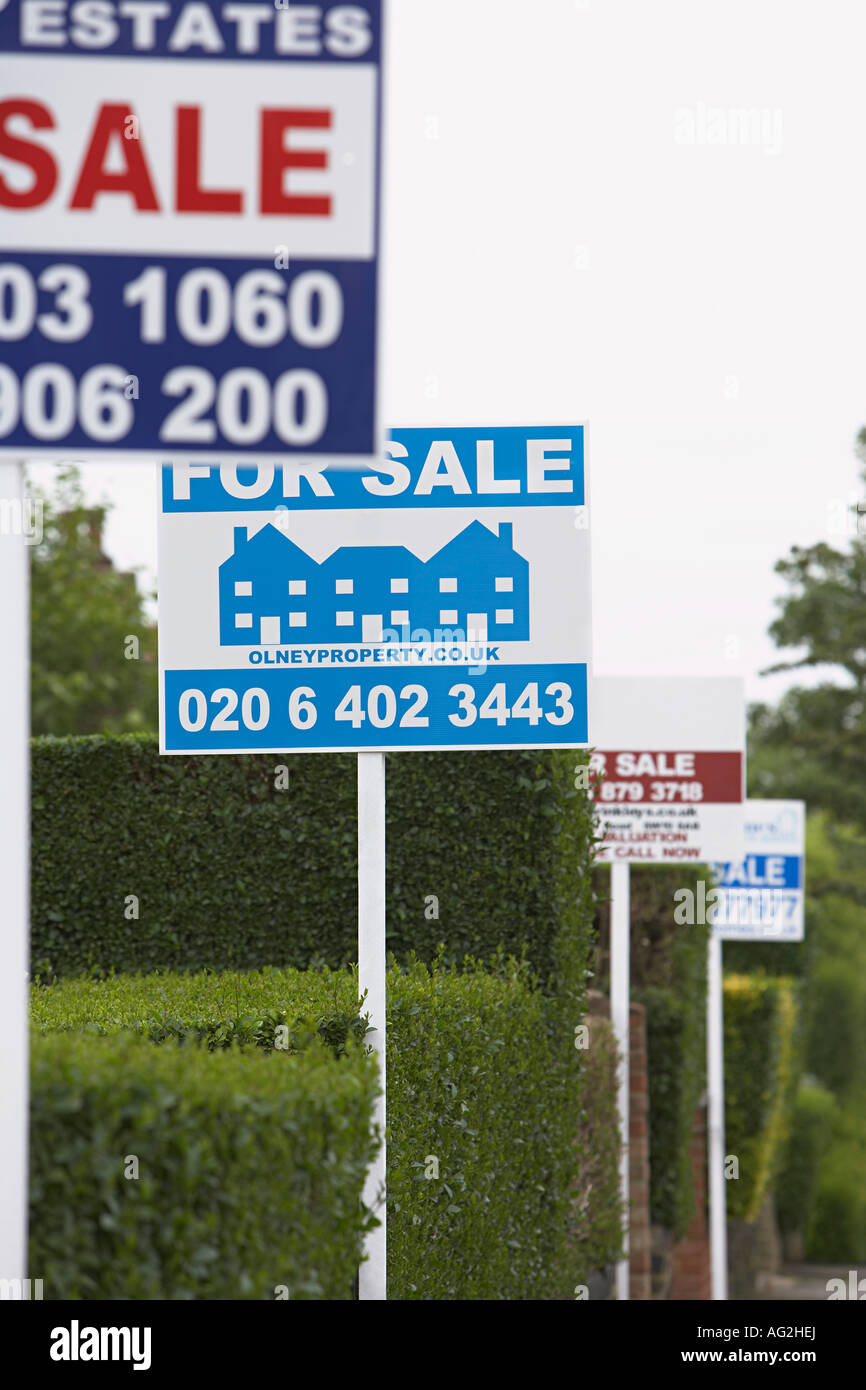 Real estate for sale signs in a row by hedges Stock Photo - Alamy