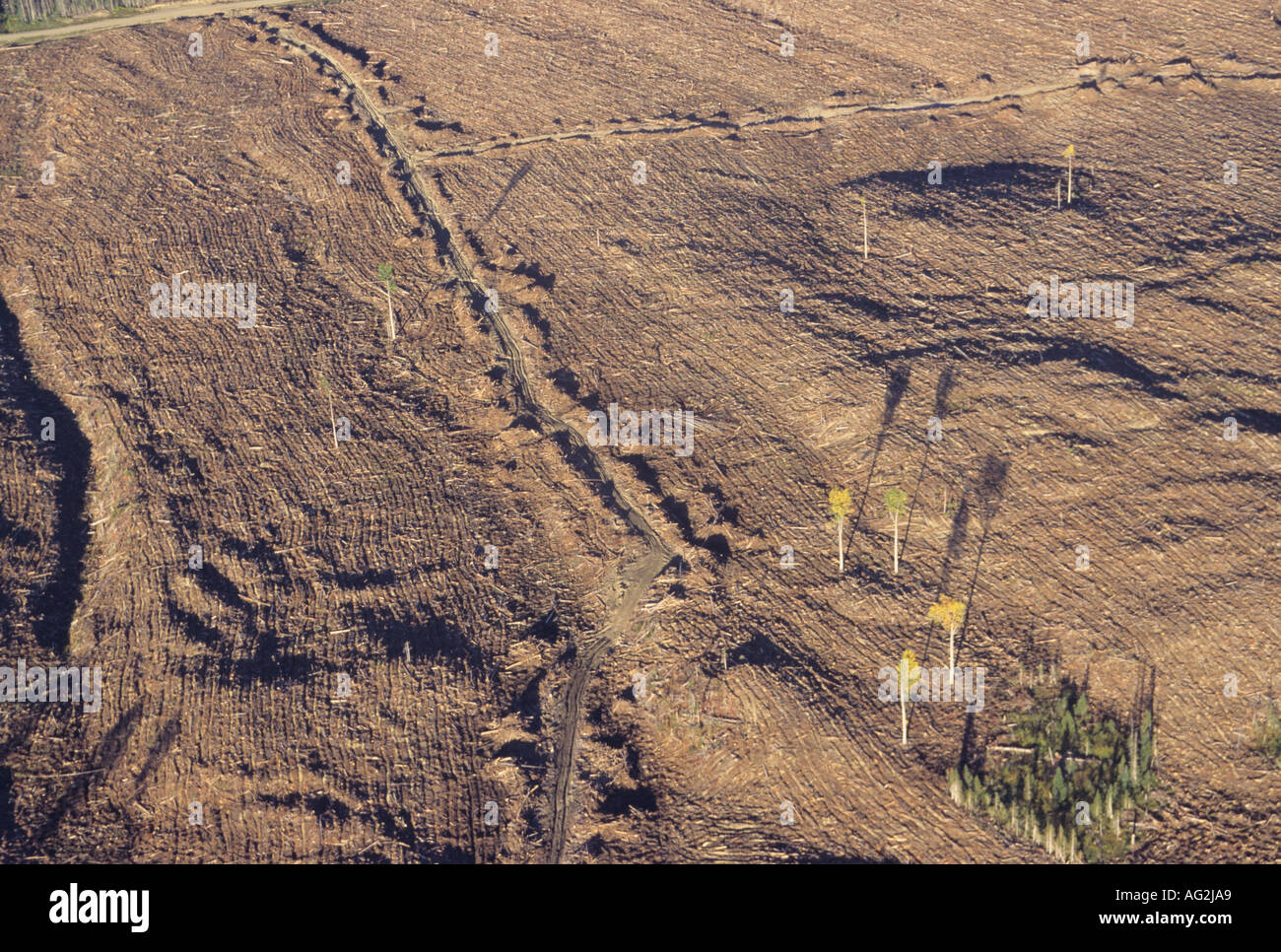 Aerial of clearcut area hi-res stock photography and images - Alamy