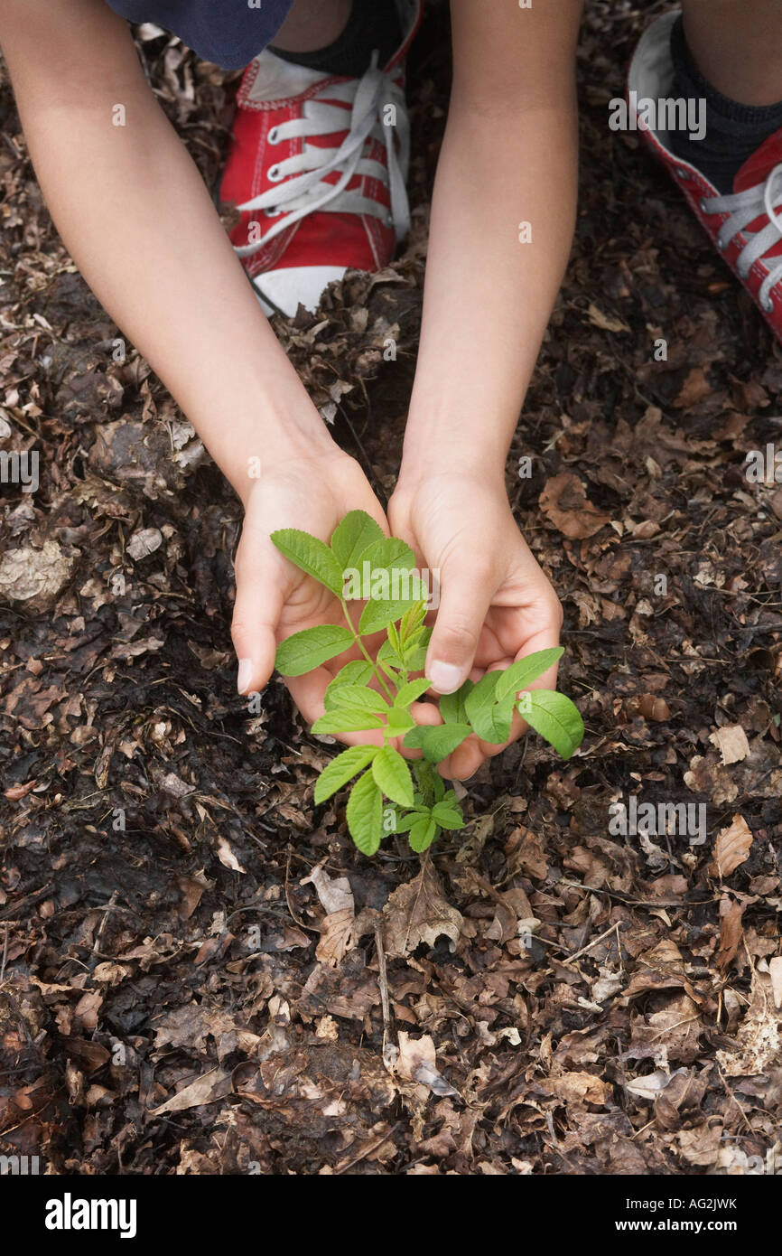 Girl (7-9) planting black locust tree seedling, close-up of hands and feet Stock Photo