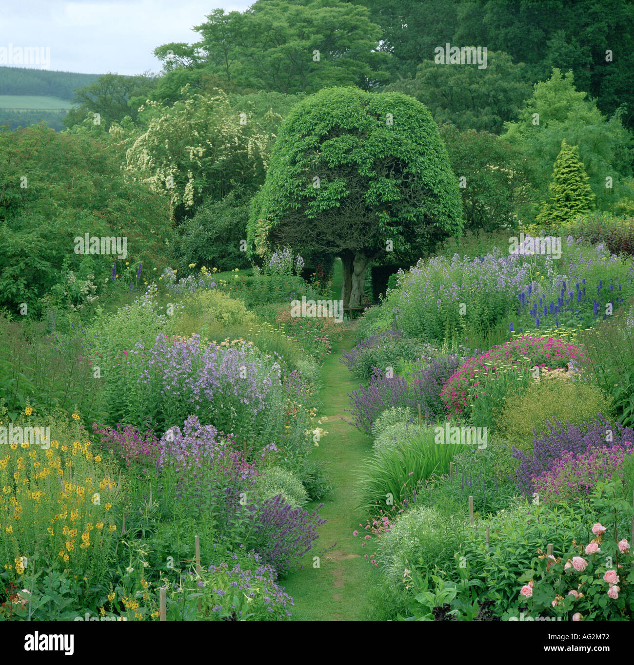 Herbaceous borders hi-res stock photography and images - Alamy