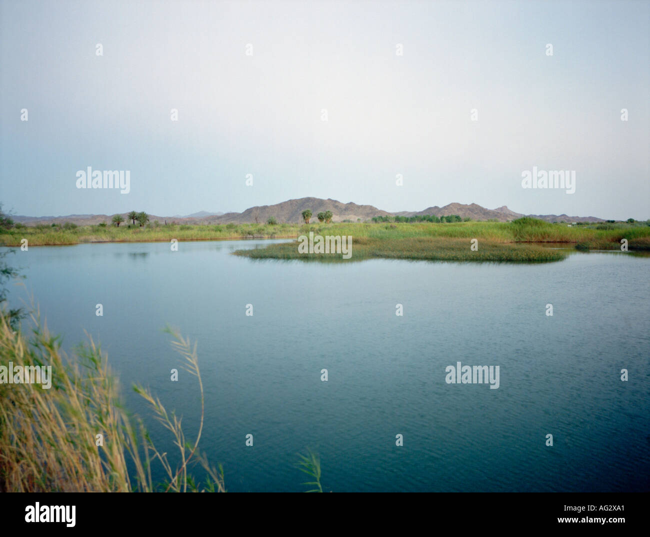 Colorado river near Yuma Stock Photo Alamy