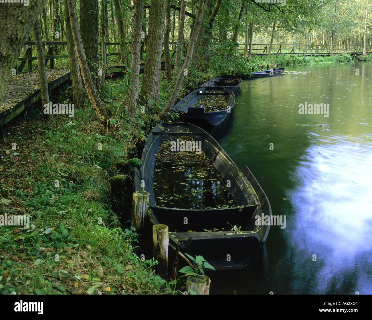 geography / travel, Germany, Brandenburg, landscape / landscapes ...
