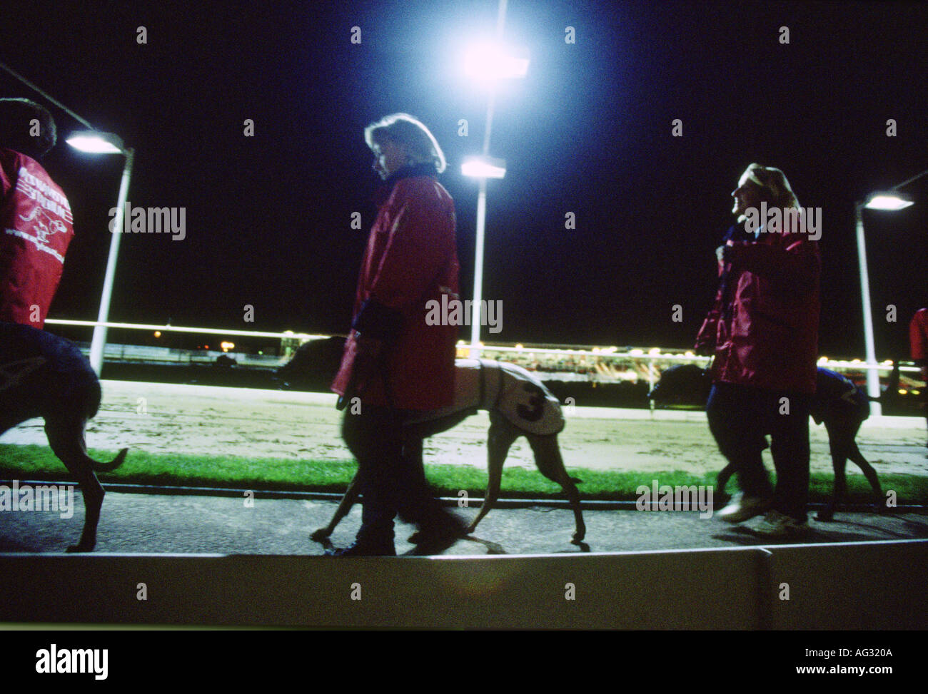 Greyhound racing track stadium hires stock photography and images Alamy