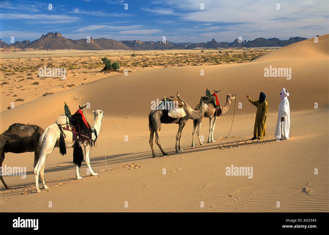 Algeria Djanet Men of Tuareg tribe walking with caravan of camels Stock Photo