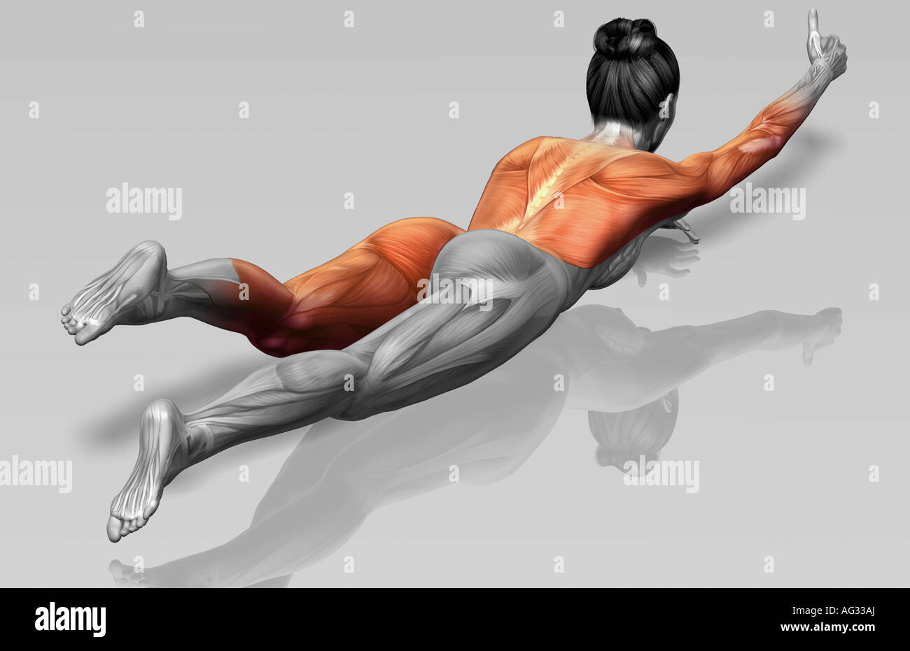 Armleg extensions (Part 1 of 2 Stock Photo Alamy