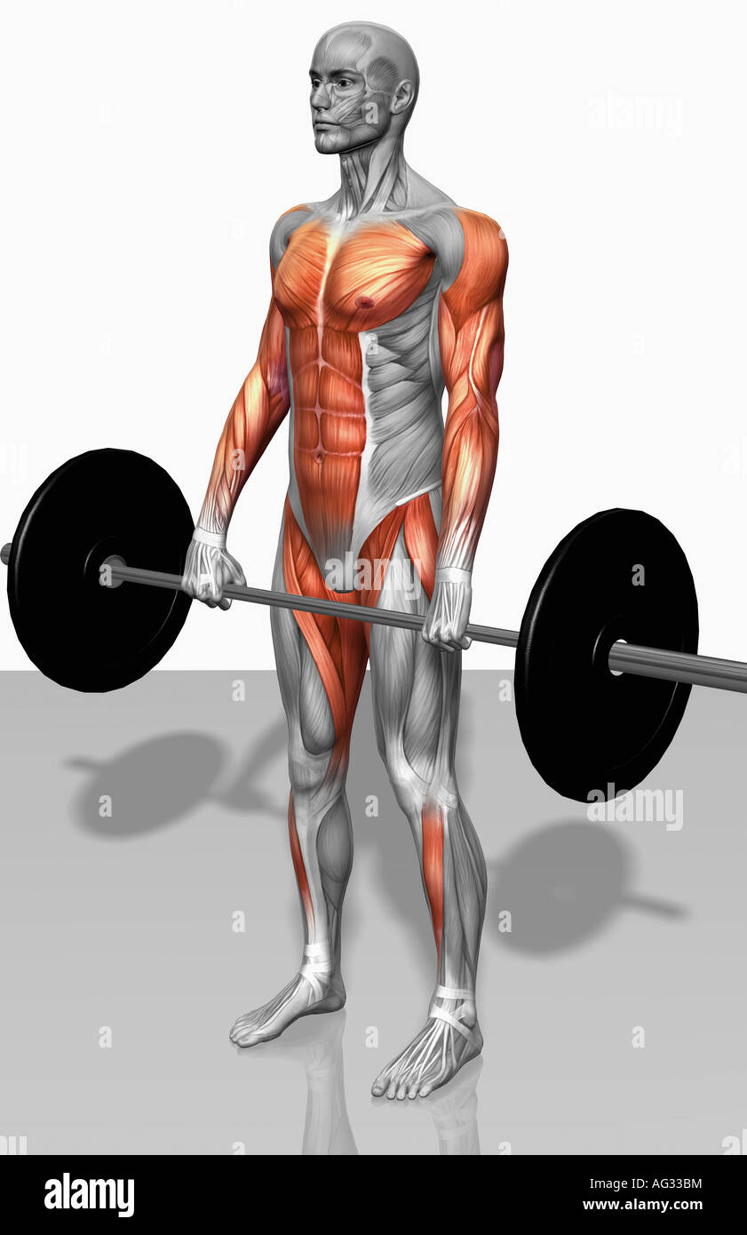 Barbell deadlift (Part 1 of 2 Stock Photo Alamy