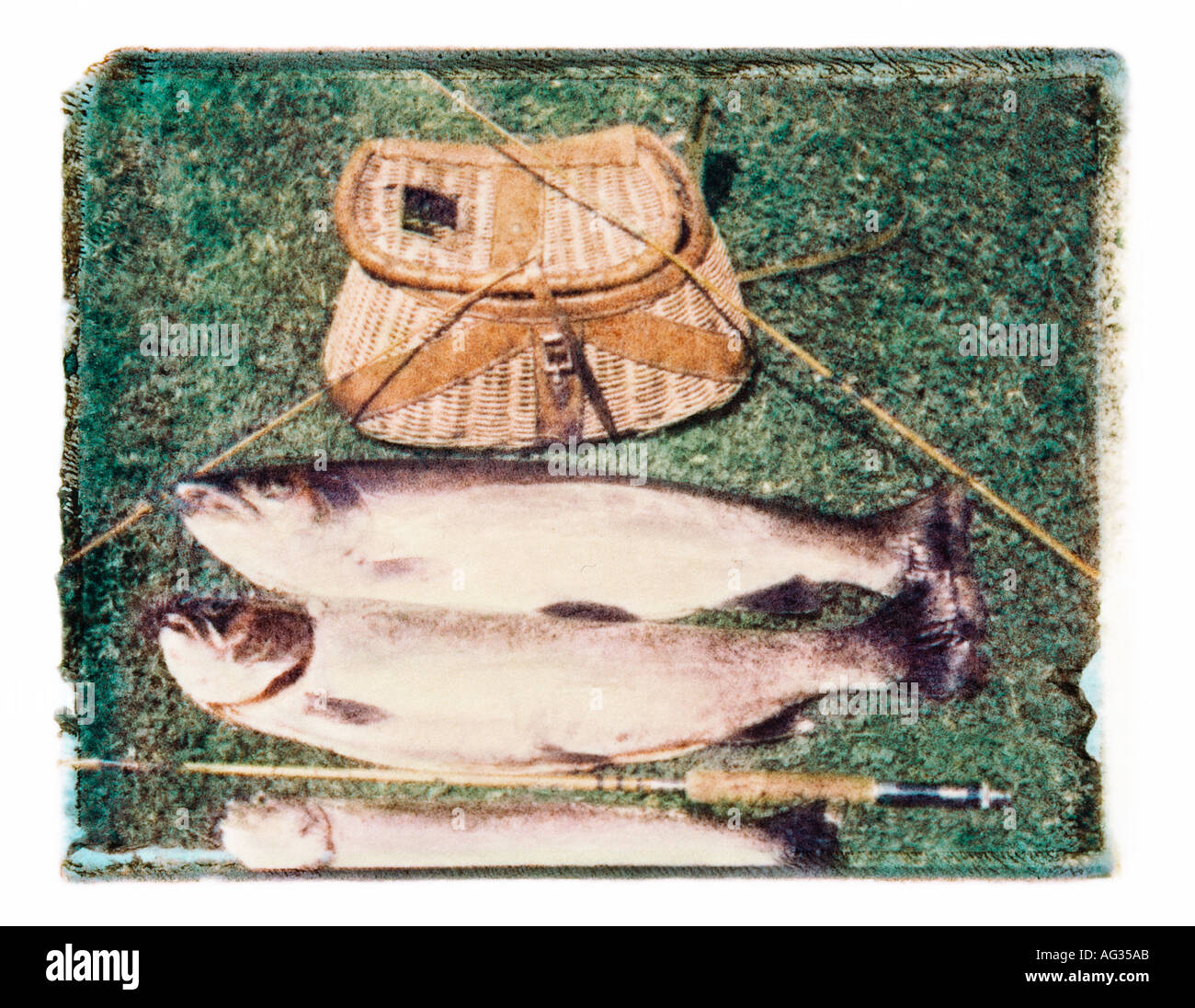 https://c8.alamy.com/comp/AG35AB/polaroid-transfer-image-of-freshly-caught-trout-lying-by-fishing-poles-AG35AB.jpg