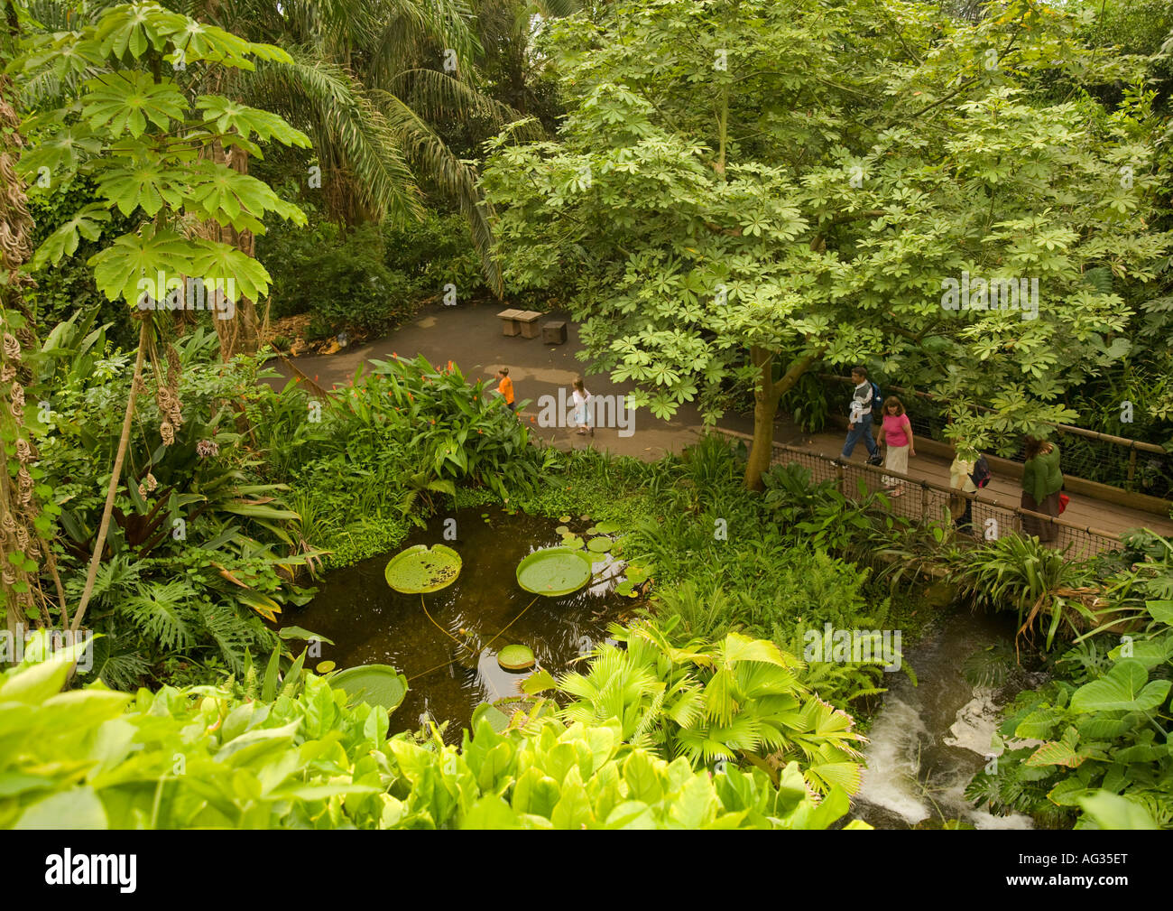 The Eden Project is a large-scale environmental complex in England. The ...