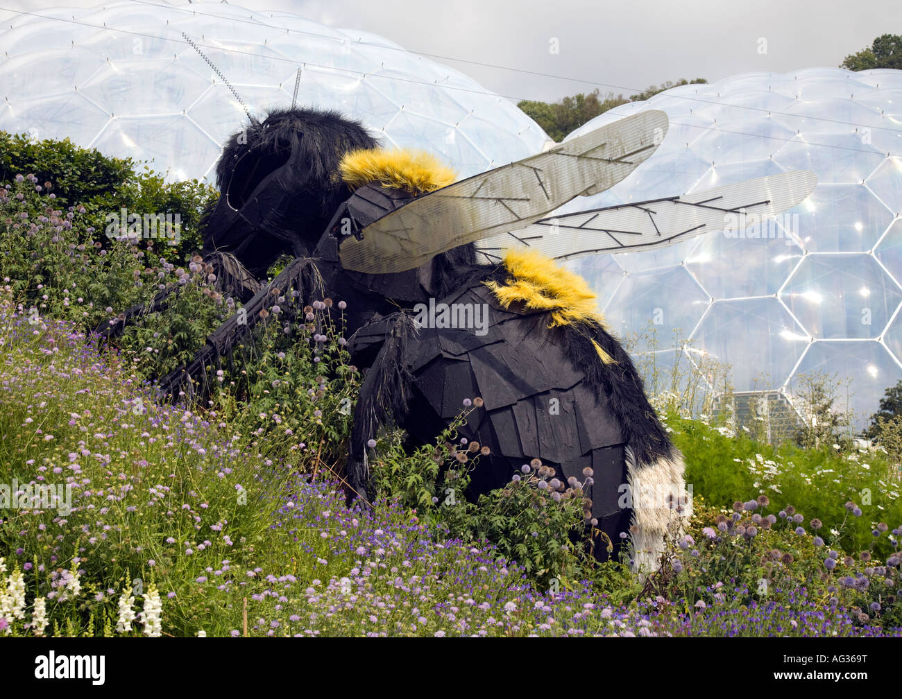 The Eden Project is a large-scale environmental complex in England. The ...