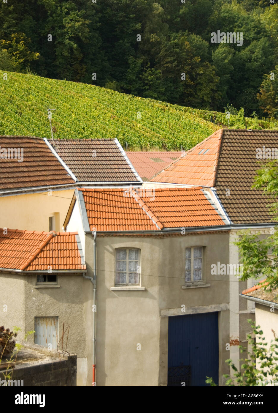 Rooftops In The Village Of Verzy In Champagne With Vineyards
