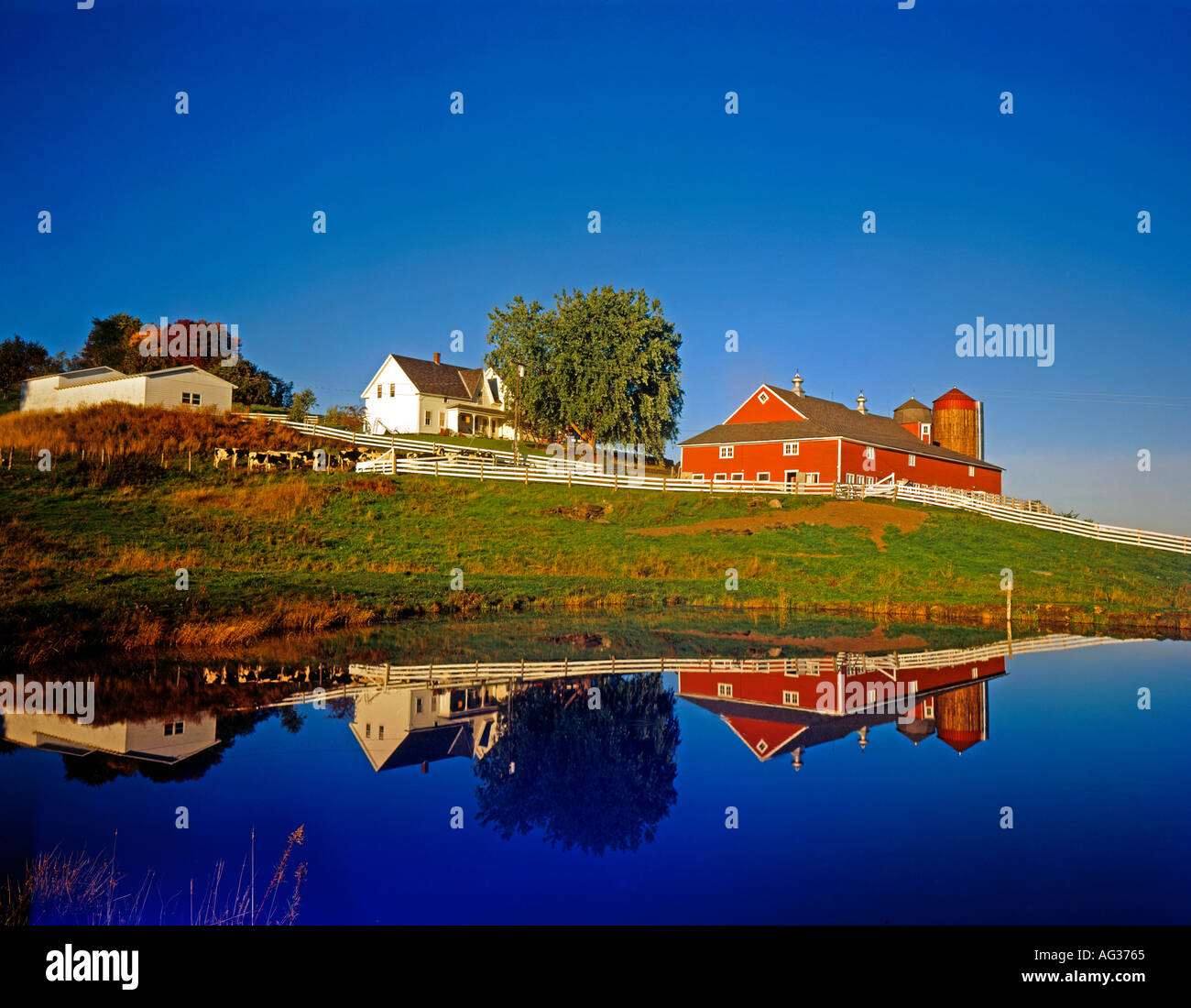Williamsville hires stock photography and images Alamy