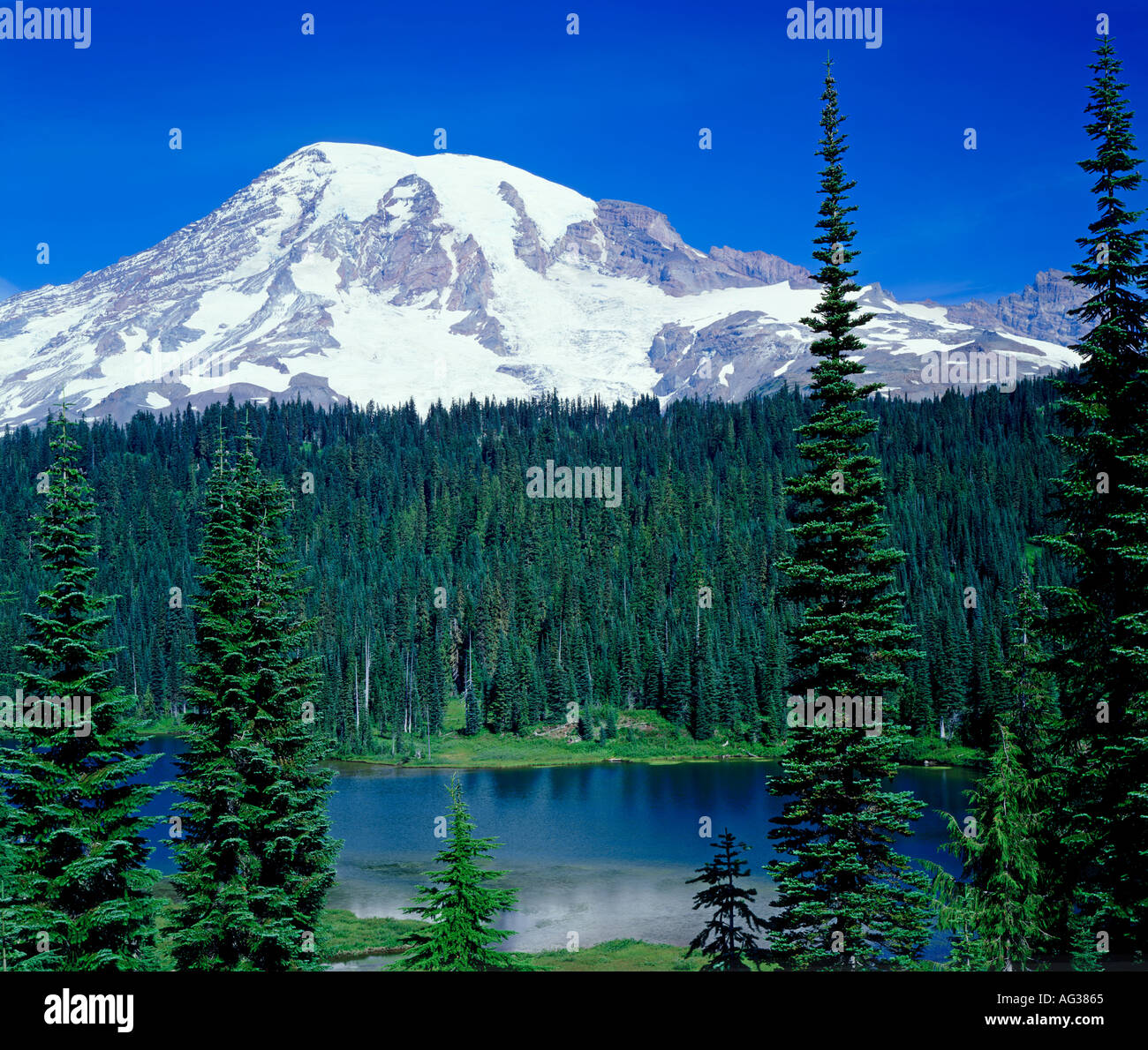 Mt Rainier in Mt Rainier National Park Washington State USA Stock Photo