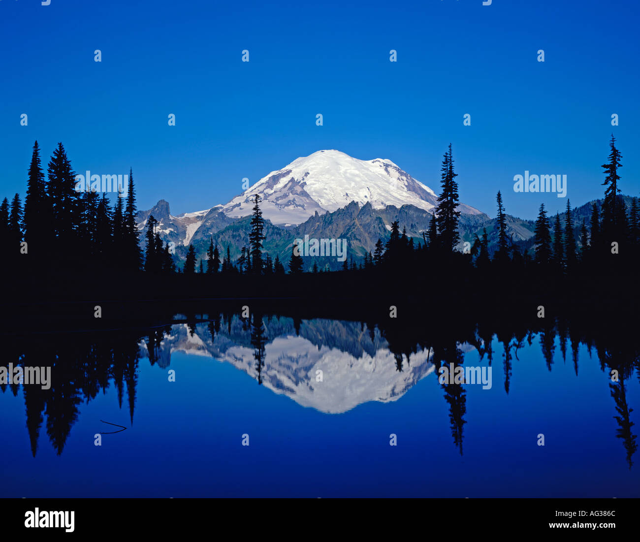 Mt Rainier National Park Washington State USA Stock Photo