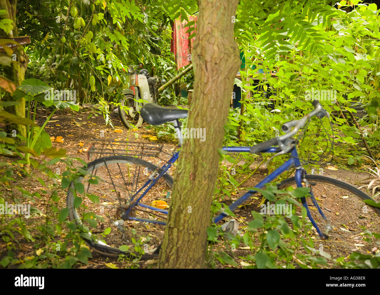 The Eden Project is a large-scale environmental complex in England. The ...