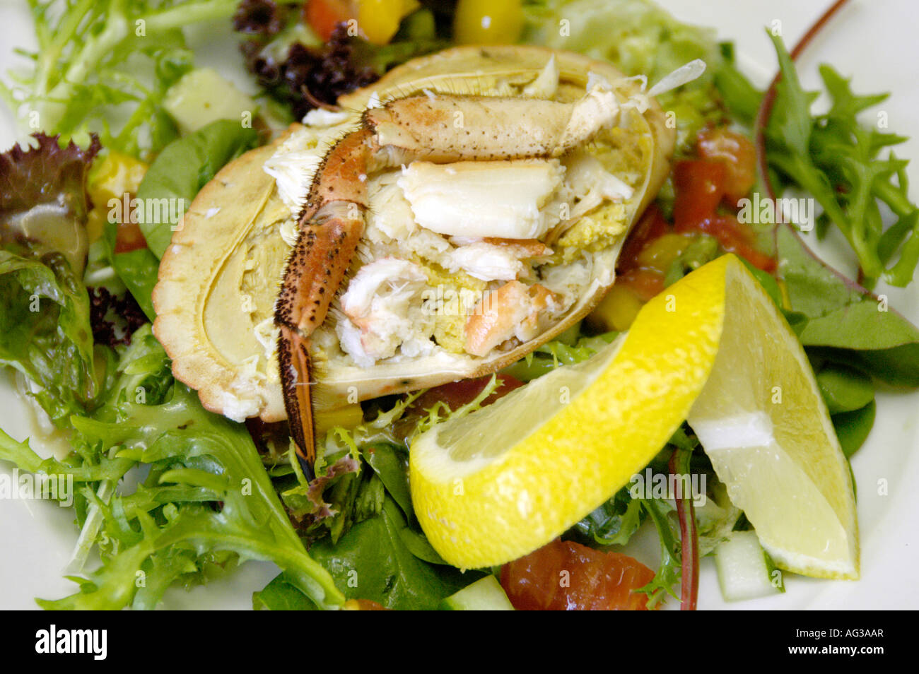 Fresh dressed cromer crab hires stock photography and images Alamy