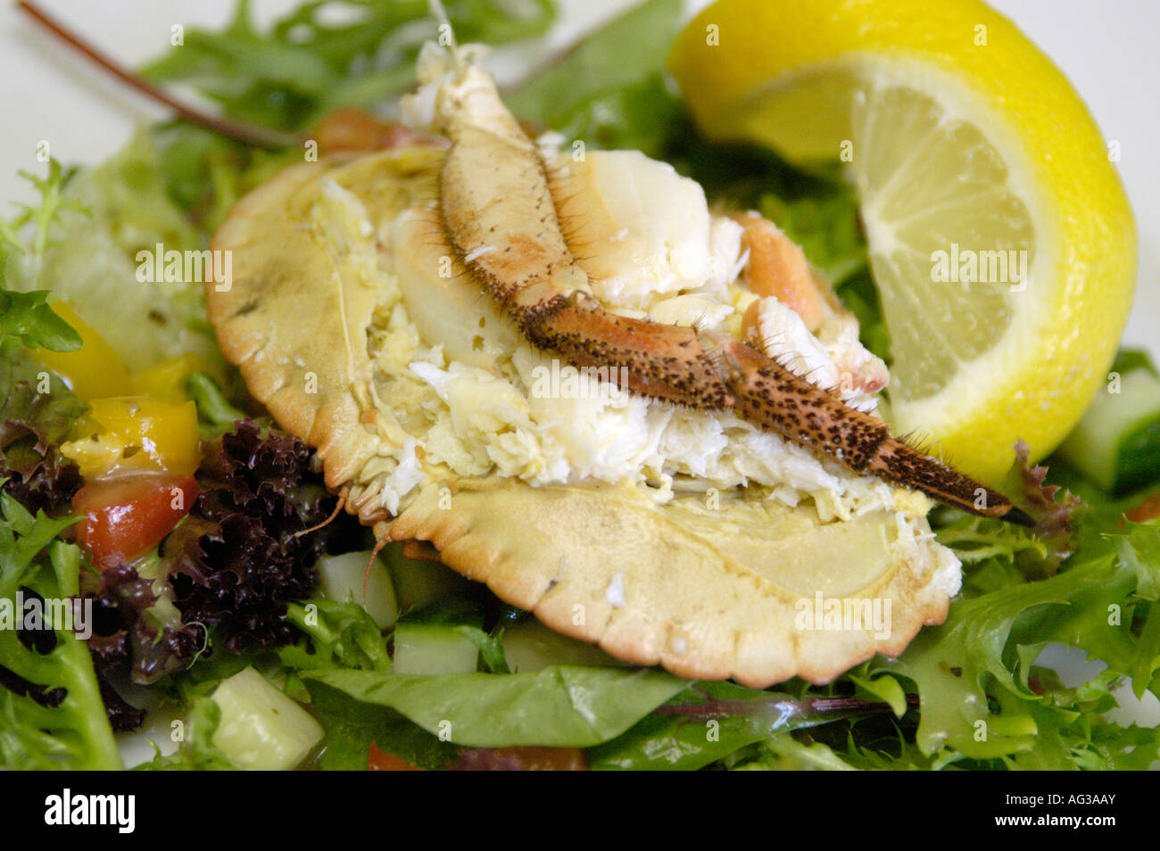 Cromer crab eat hi-res stock photography and images - Alamy