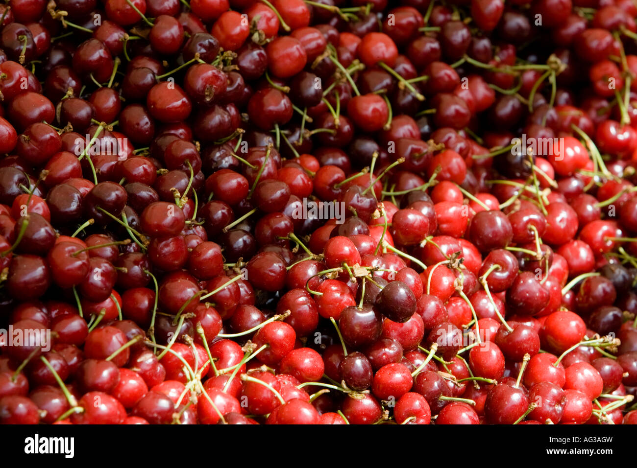 Red cherries for sale on stall during French market taking place in