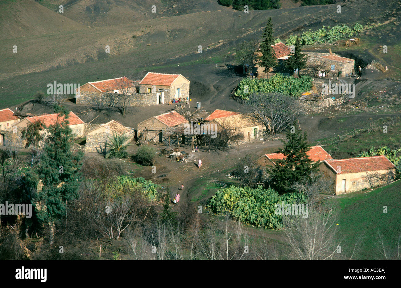 Algeria Djemila Rooftop of farmhouses Stock Photo
