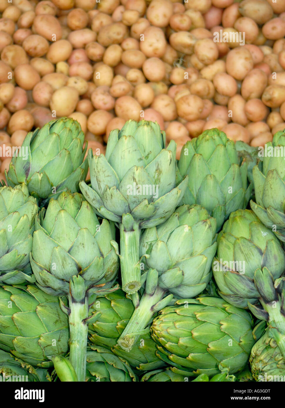 Mrccas005 hires stock photography and images Alamy