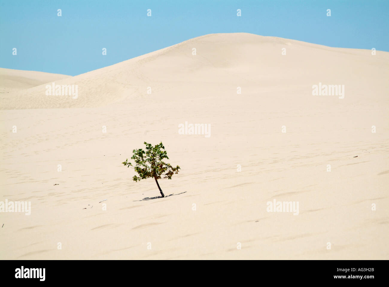 Sleeping Bear Dunes National Seashore Michigan Stock Photo