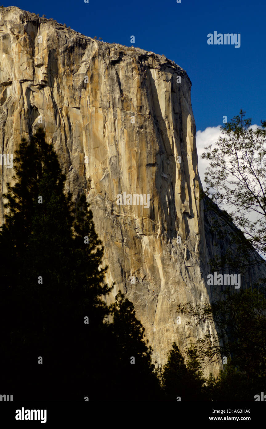 Sheer granite cliff wall of El Capitan Yosemite Valley Yosemite