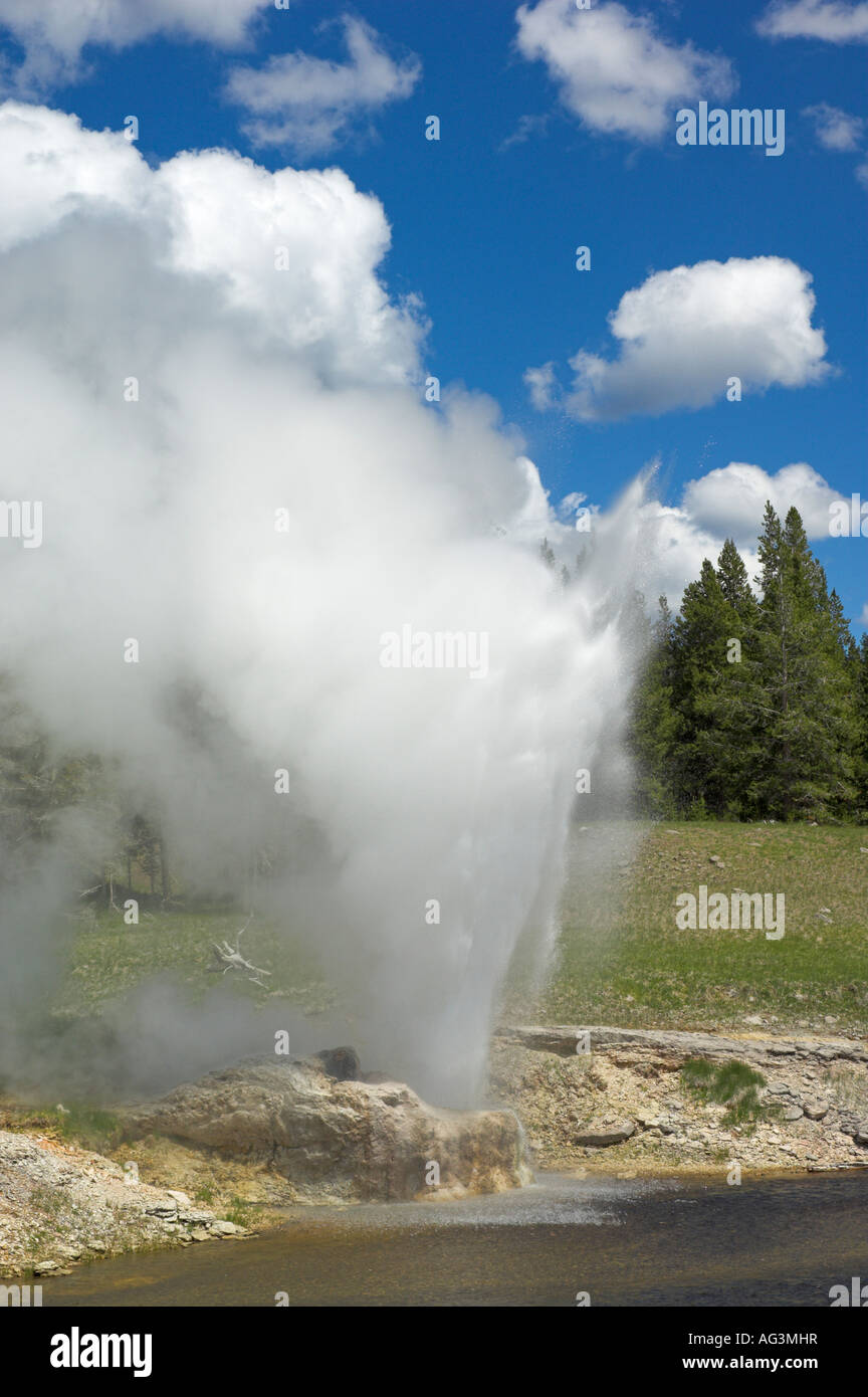 riverside geyser upper geyser basin yellowstone national park wyoming usa united states of america Stock Photo