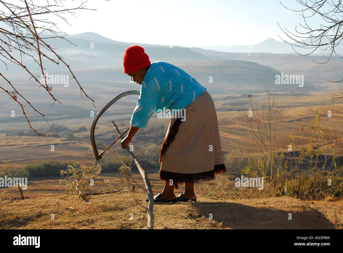 Basotho woman sawing wood for fire during bitterly cold winter weather, Lesotho, Africa Stock Photo