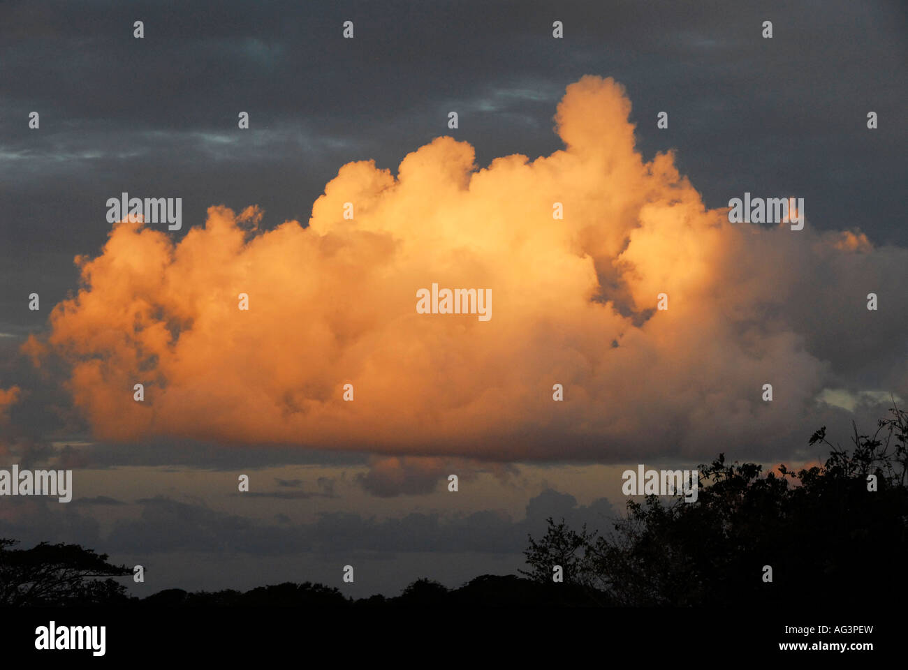 Cumulus thunder clouds building up in Maputaland, South Africa Stock Photo