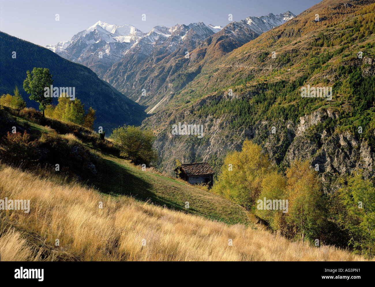 geography / travel, Switzerland, Valais, landscapes, near Visperterminen, view at Weisshorn and Mattertal, Europe, landscape, mountains, alps, autumn, Visp, Rhone valley, mountain, , Additional-Rights-Clearance-Info-Not-Available Stock Photo