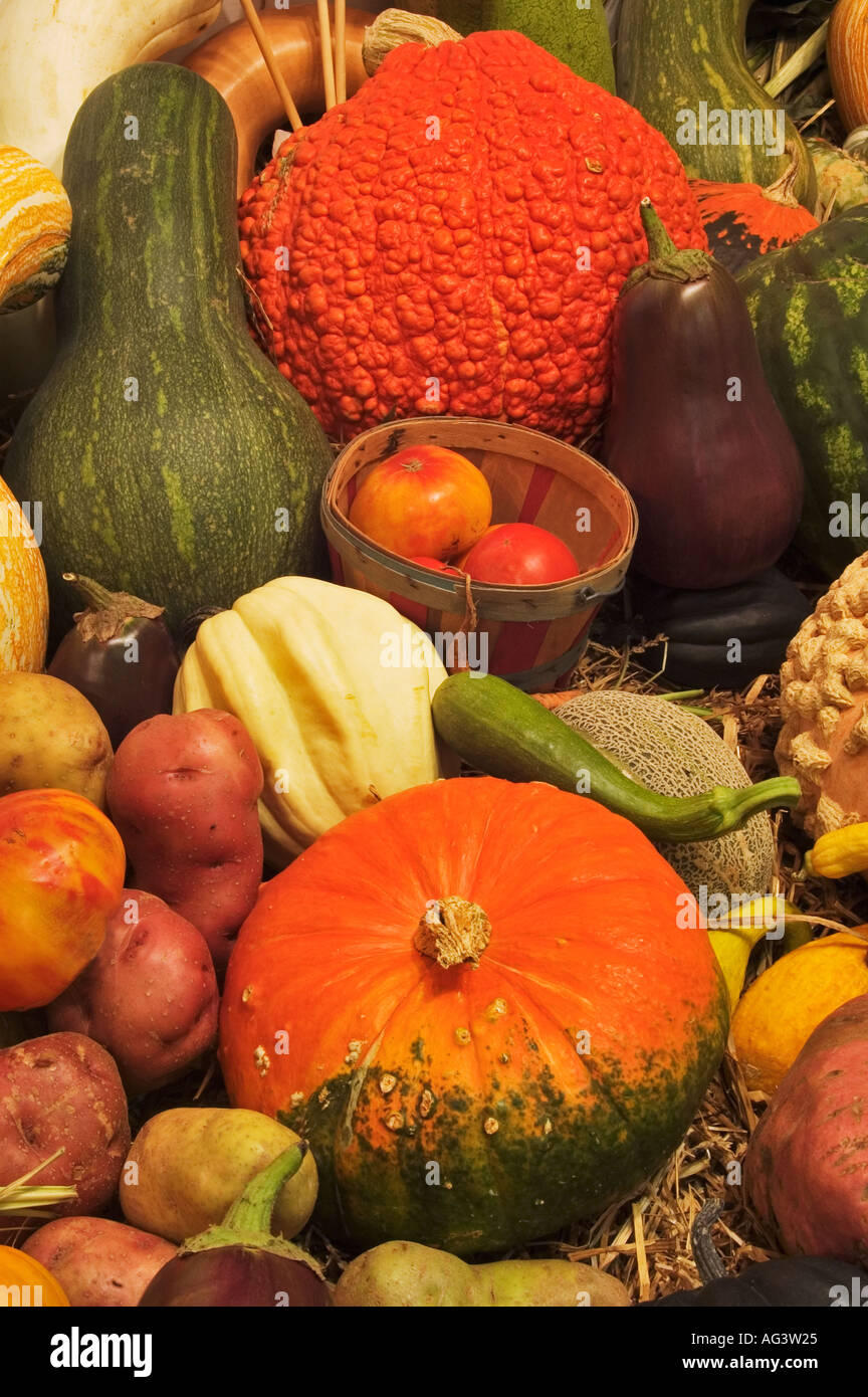 Harvest Scene Kentucky State Fair Louisville Kentucky Stock Photo Alamy