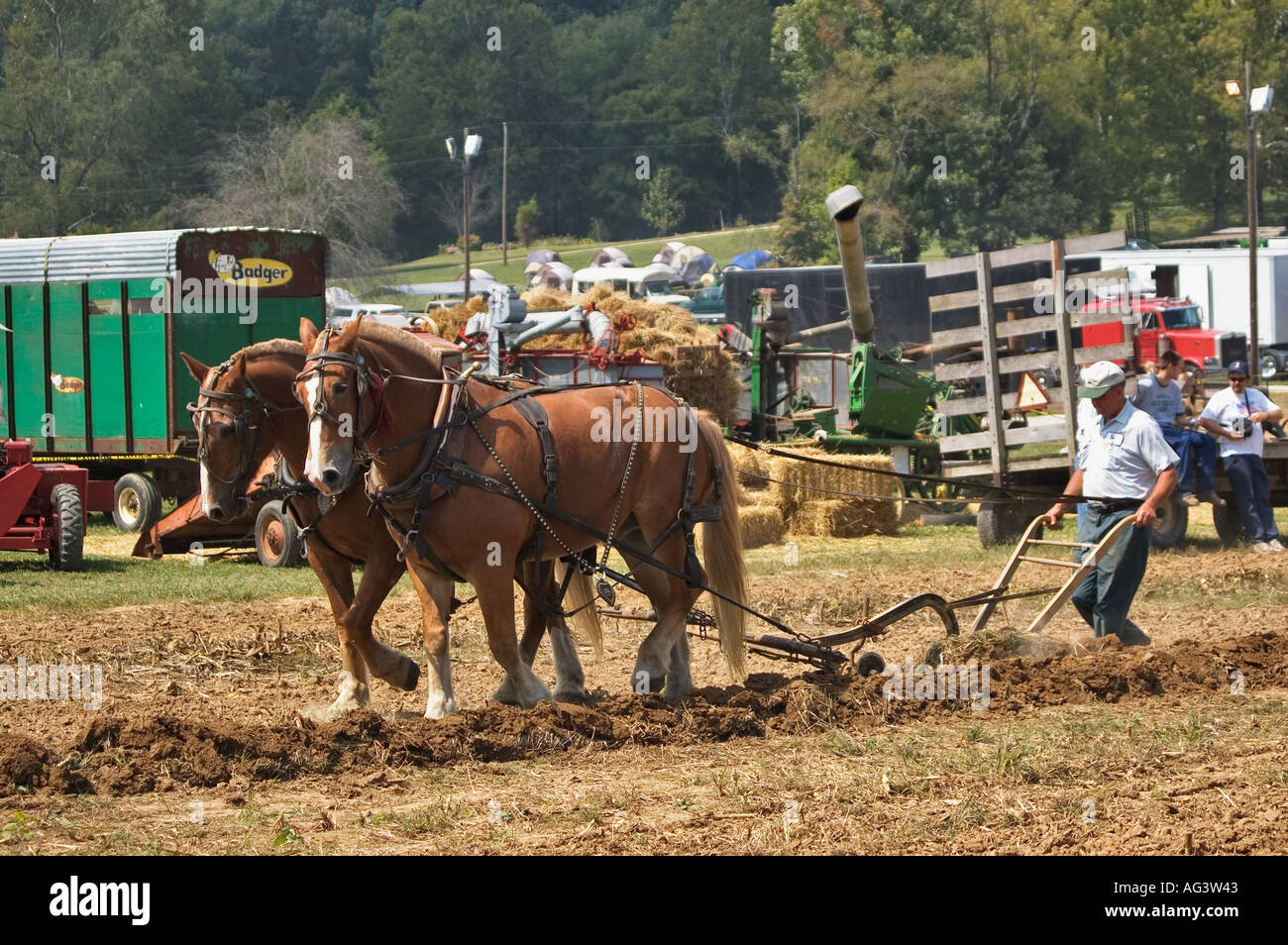 Demonstration Of Horses Plowing Field at Lanesville Heritage Festival ...