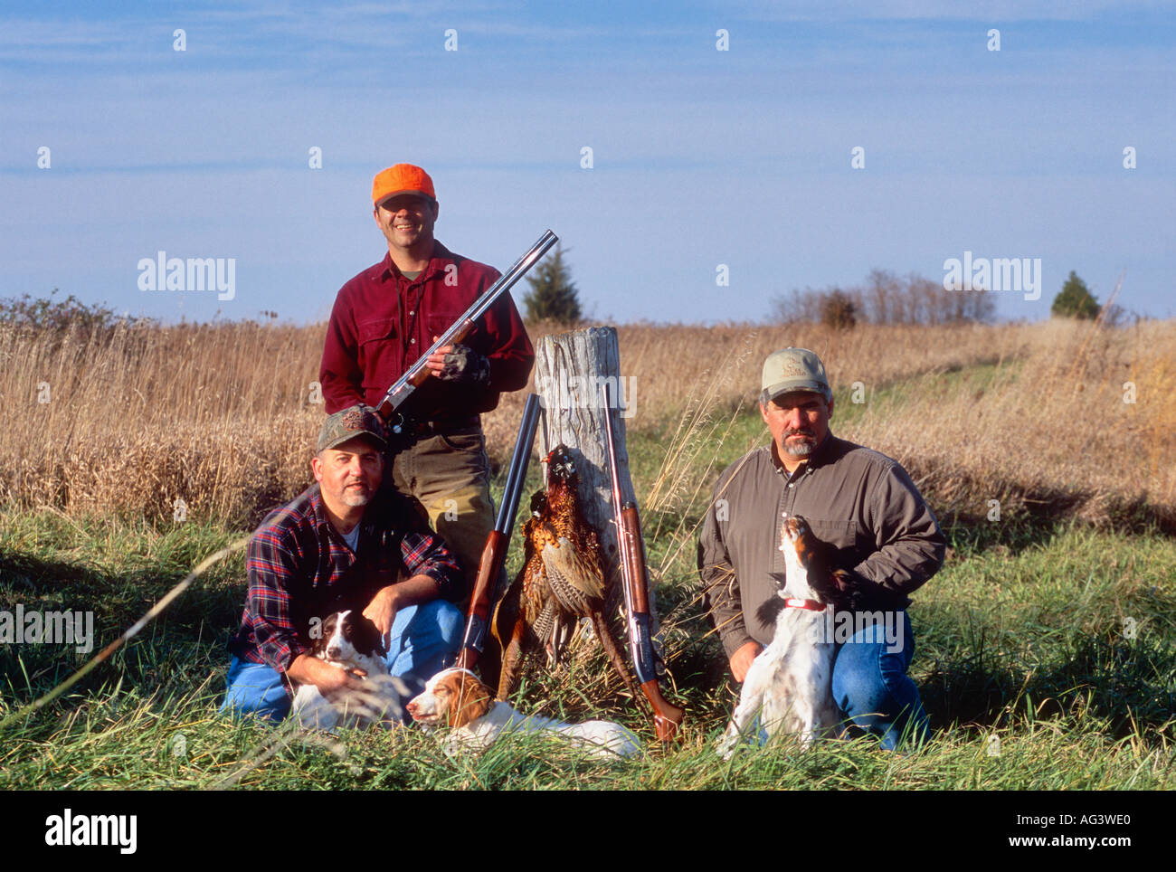 Upland Pheasant Hunters Posing With Bird Dogs Shotgun and Pheasants