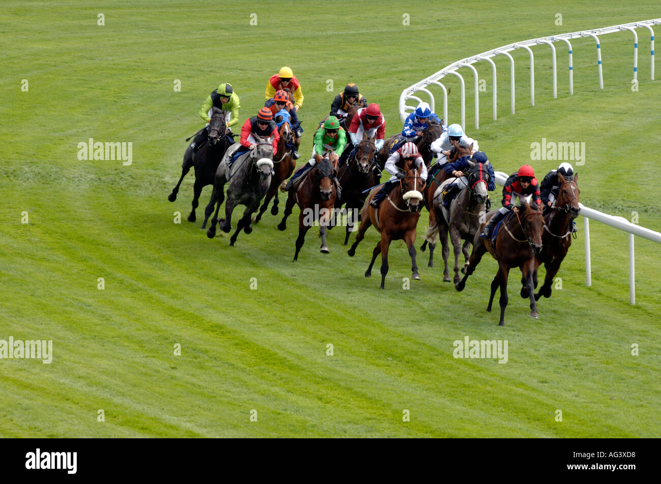 Racehorses at Chester Race meeting England UK July 2005 Stock Photo