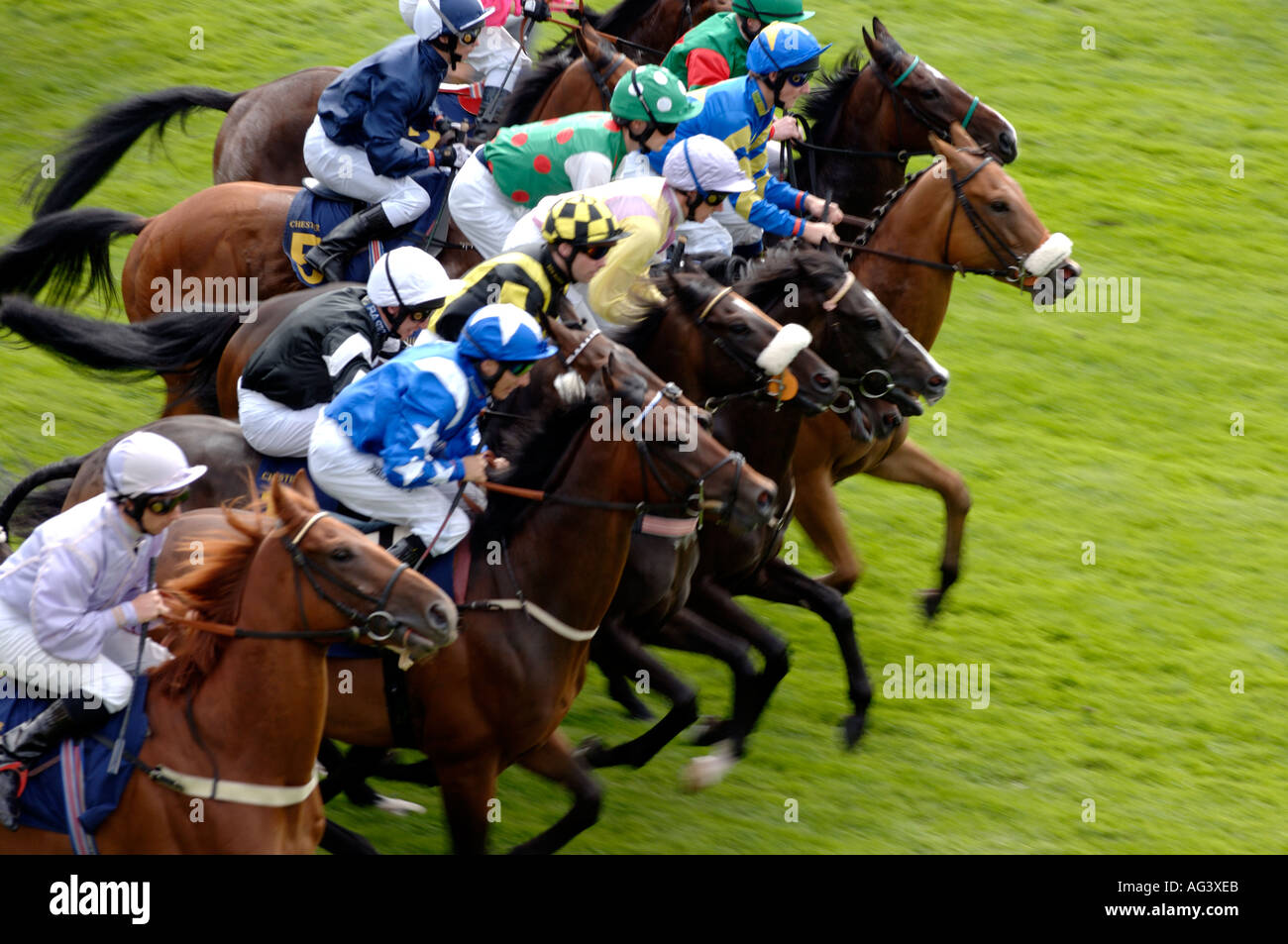 Chester races england uk hi-res stock photography and images - Alamy
