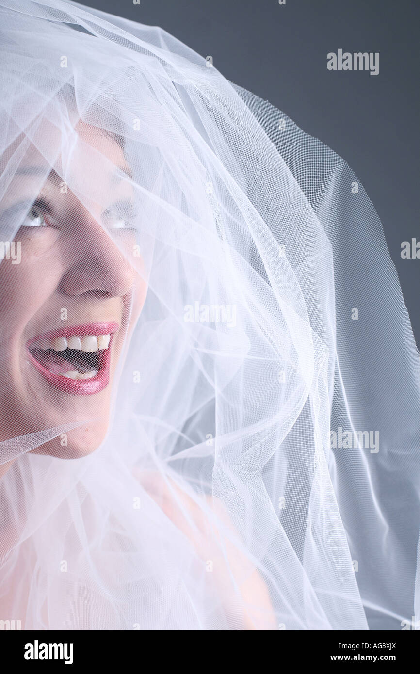 Viels hi res stock photography and images Alamy