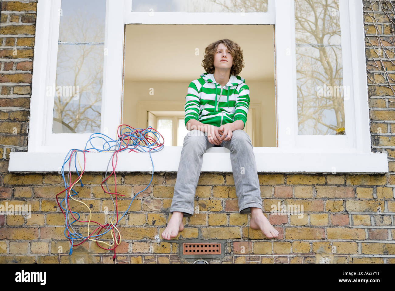 Кошка в жалюзи. Девушка парит в воздухе. Сон эстетика. Снится висеть. Кот на занавеске.