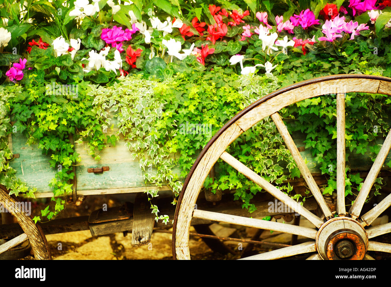 Wooden wagon flower bed Stock Photo Alamy