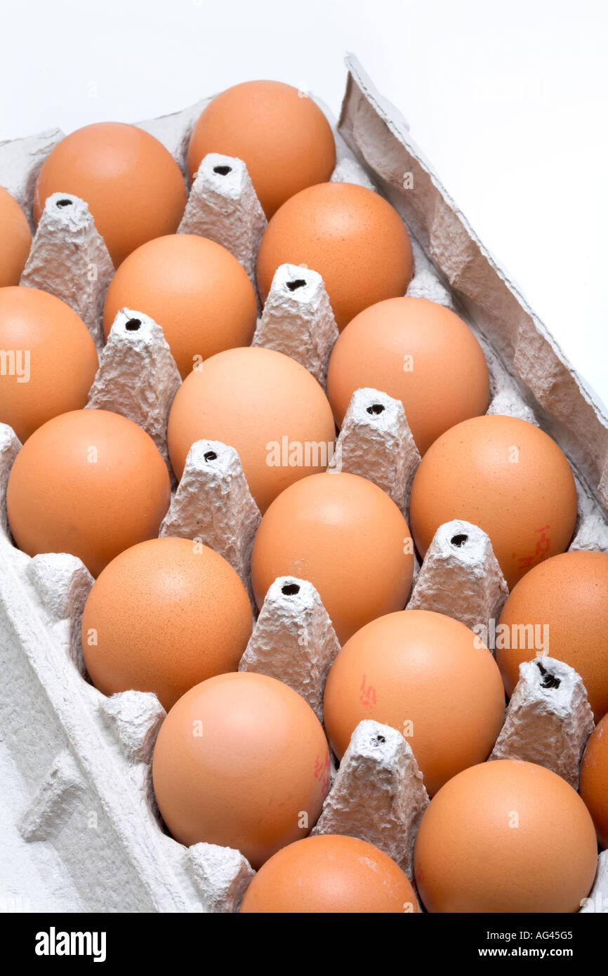 EGGS IN CARTON Stock Photo Alamy