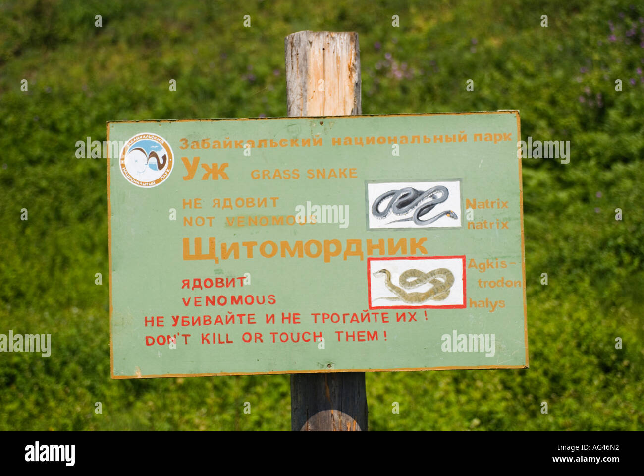 Sign warning of dangerous snakes in Zaibaikal National Park beside Lake Baikal in Siberia Russia Stock Photo