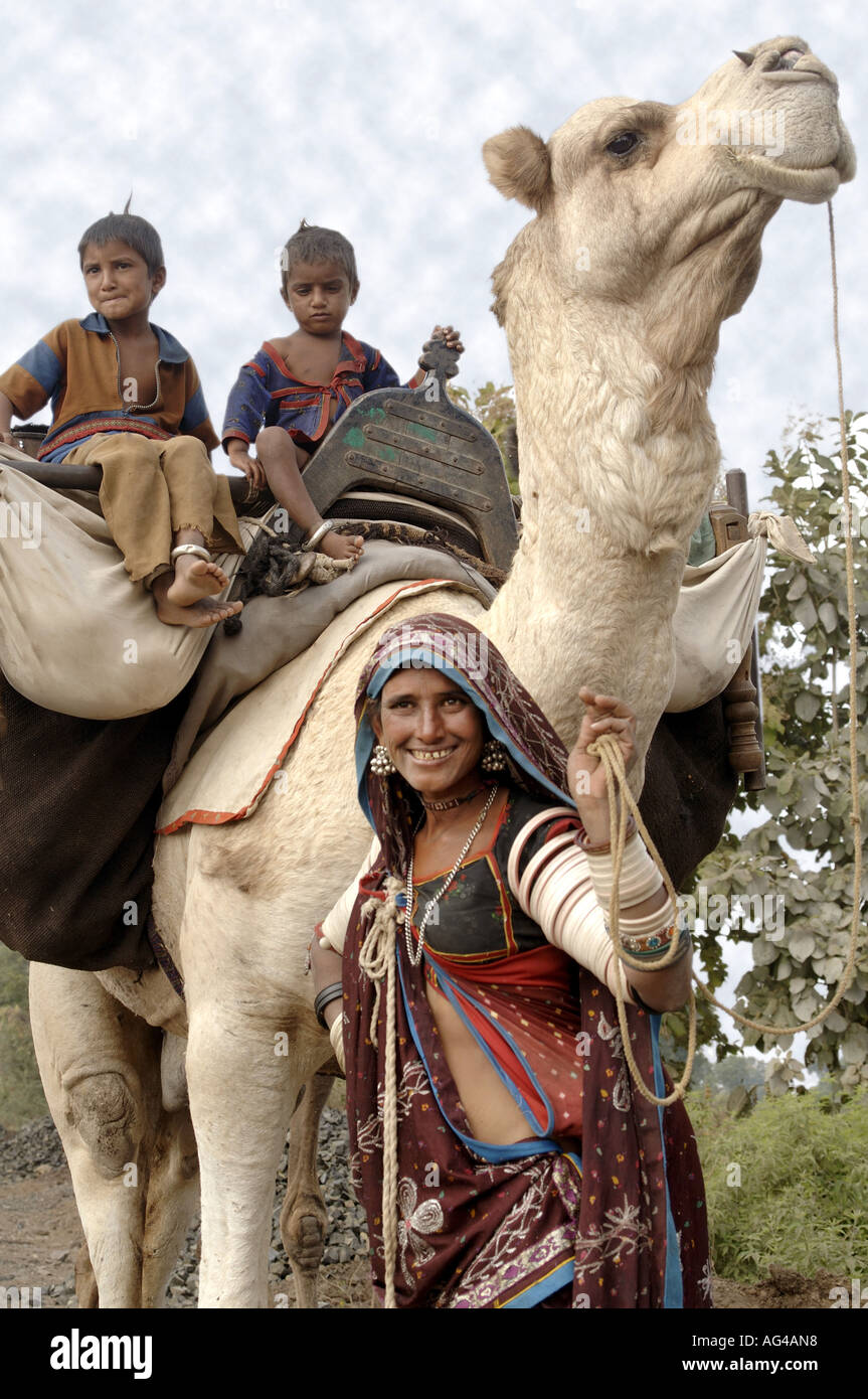 HMA79193 Gypsy migratory family travel by camel Akola Akot Maharashtra India Stock Photo