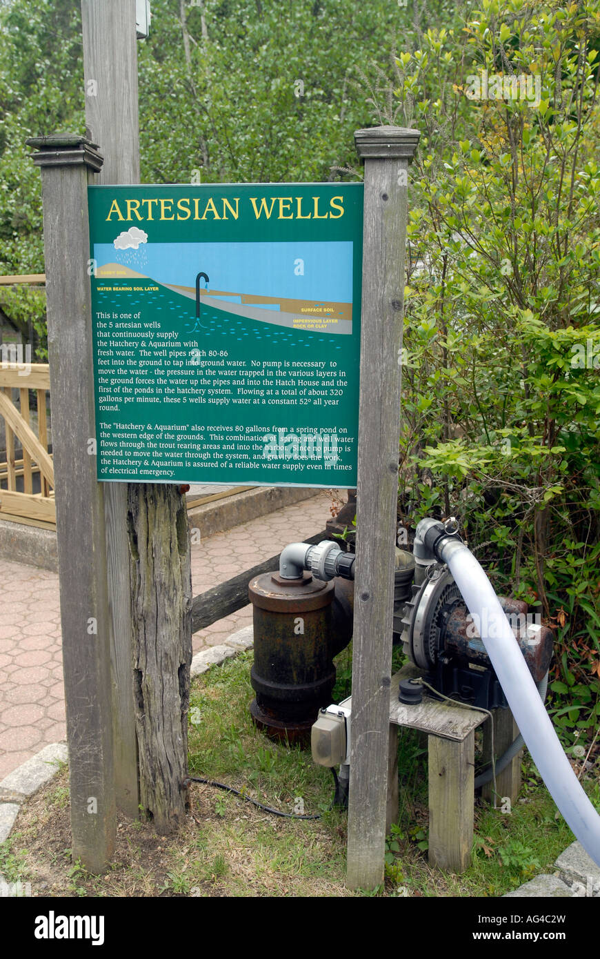 Cold Spring Harbor Fish Hatchery on Long Island Trout are raised in