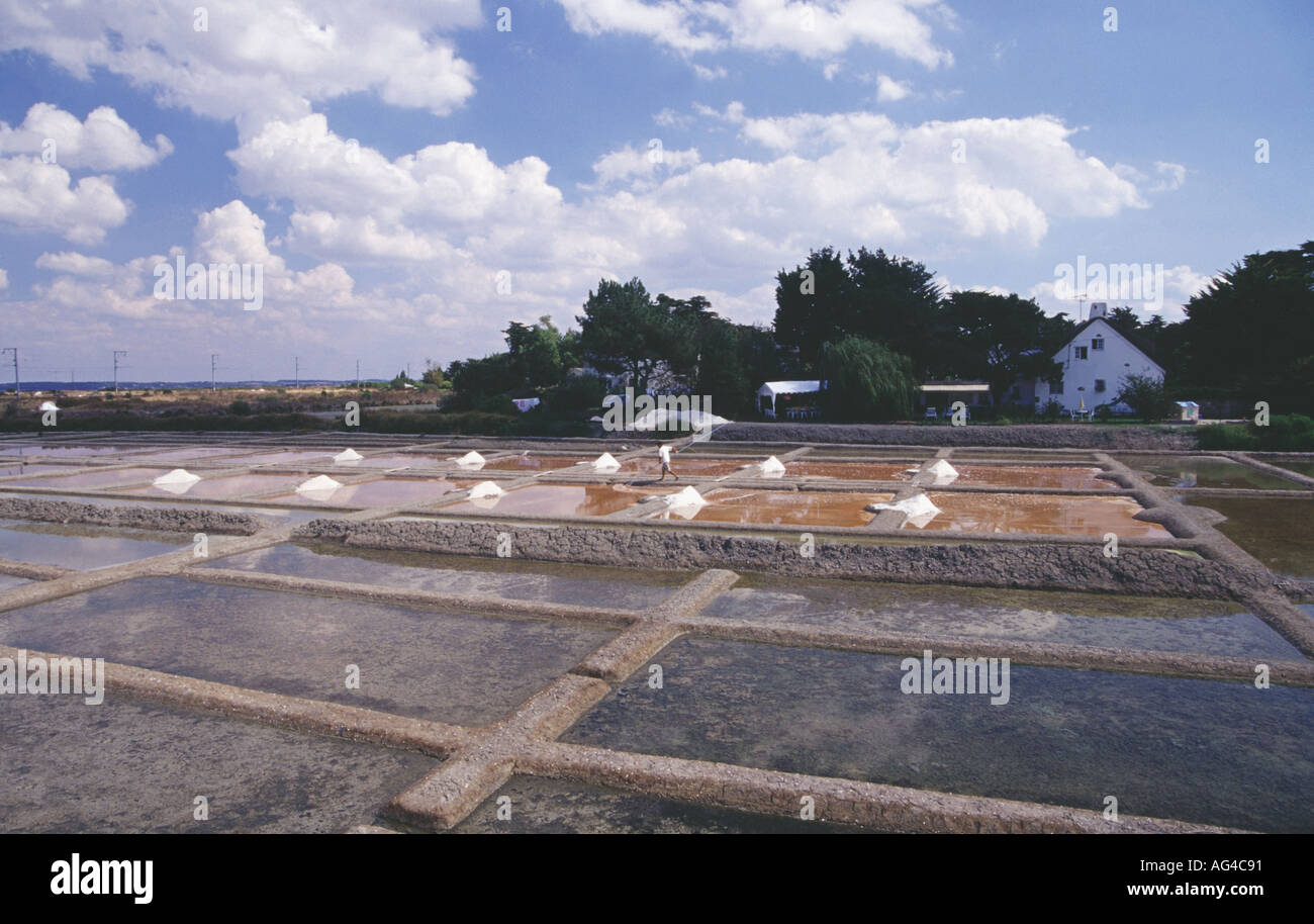 History of salt making hi-res stock photography and images - Alamy