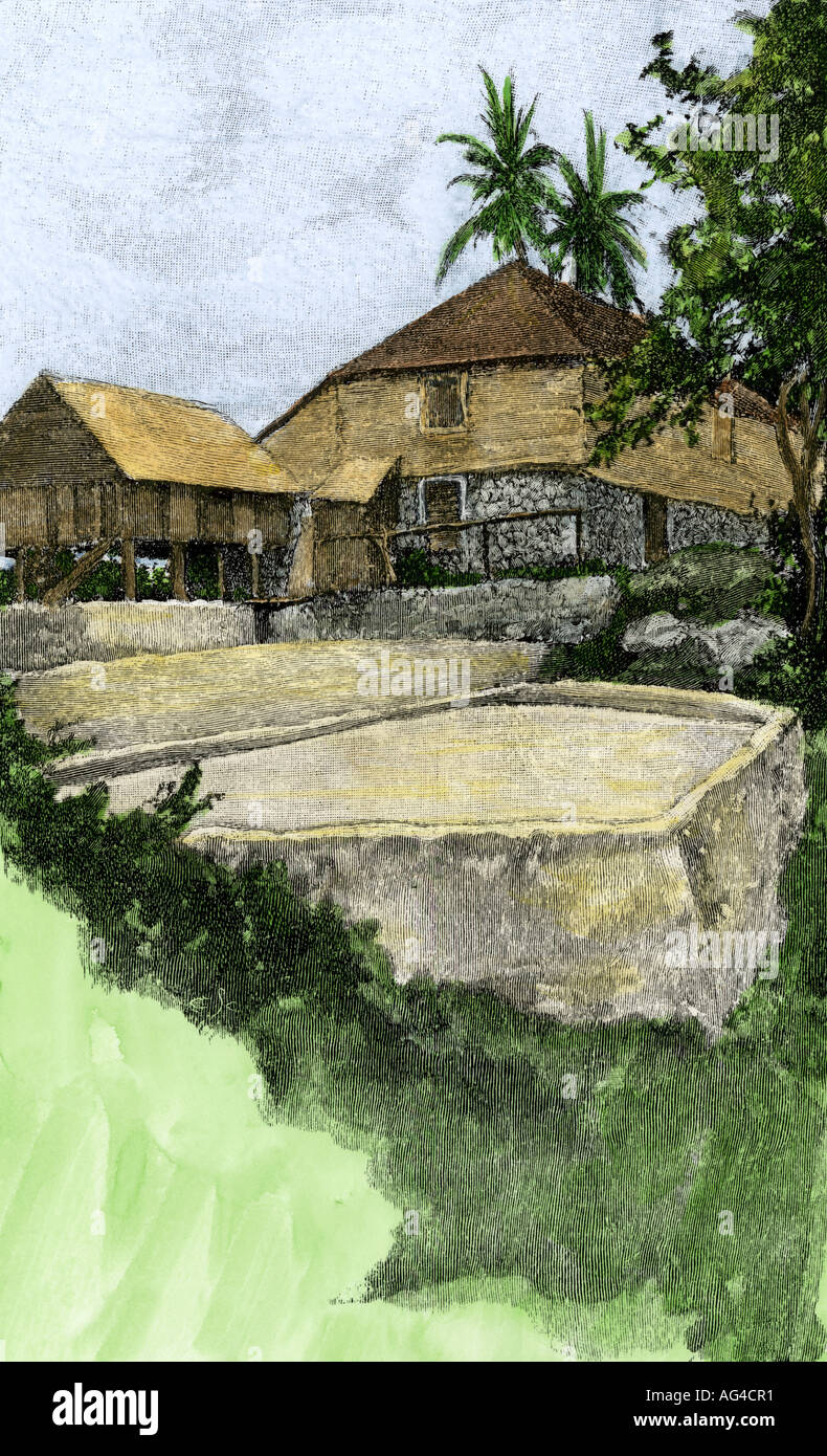 Jamaican coffee plantation hires stock photography and images Alamy